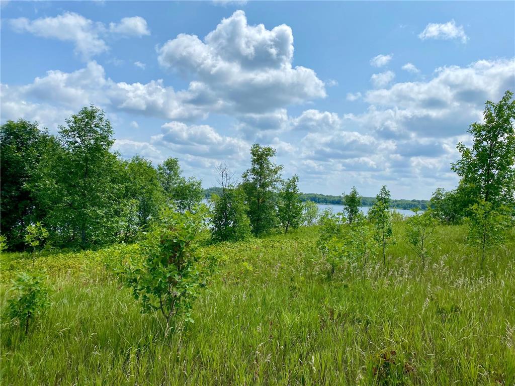 27XX Louise Drive NW Lagrand Twp MN 56308 - Louise 6768094 image4