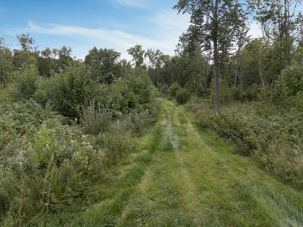 280 S Lake Lawrence Road NE Outing MN 56662 - Lawrence 7076392 image9