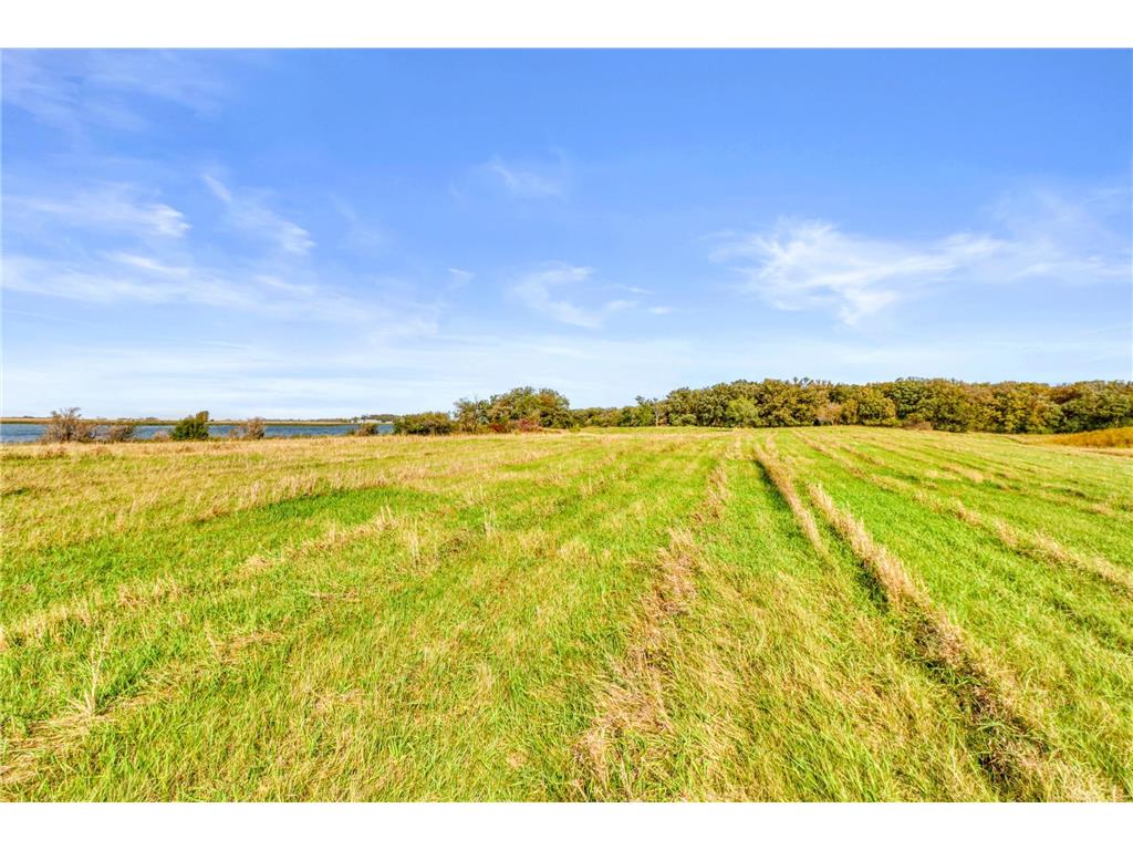 28005 75th Avenue N Highland Grove Twp MN 56552 - Swede Grove 7041133 image64