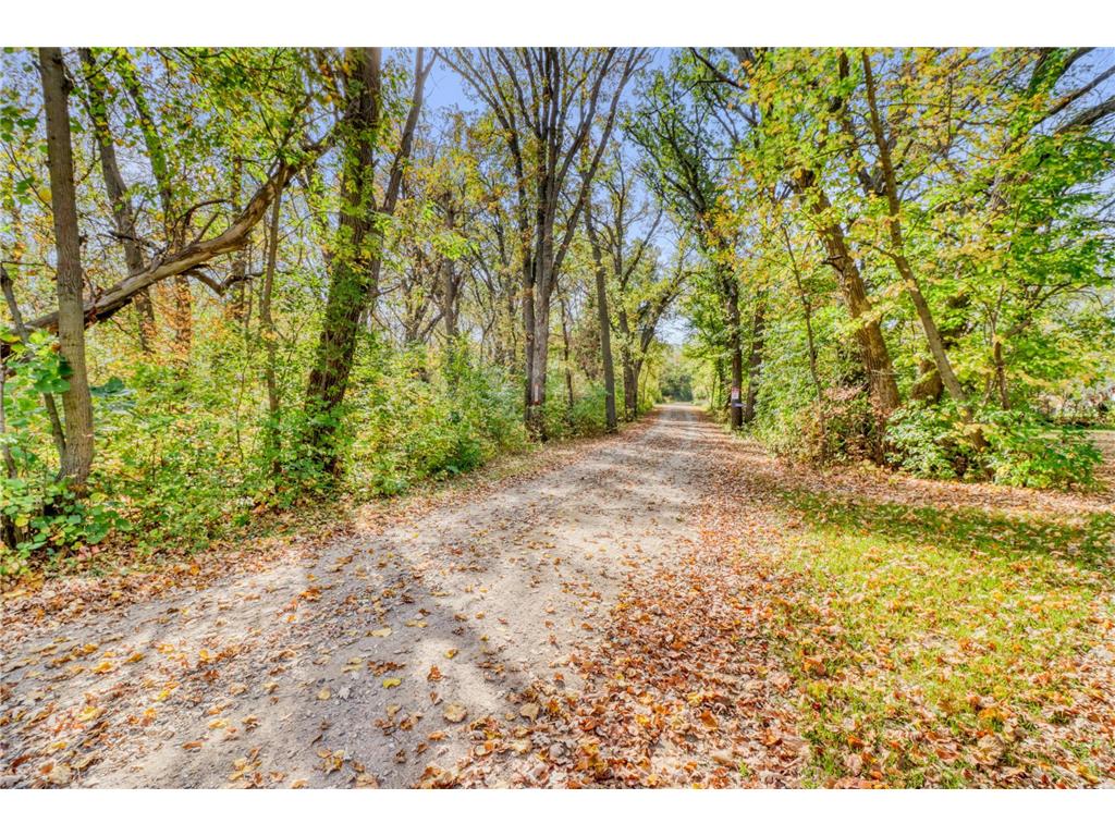 28005 75th Avenue N Highland Grove Twp MN 56552 - Swede Grove 7041133 image67