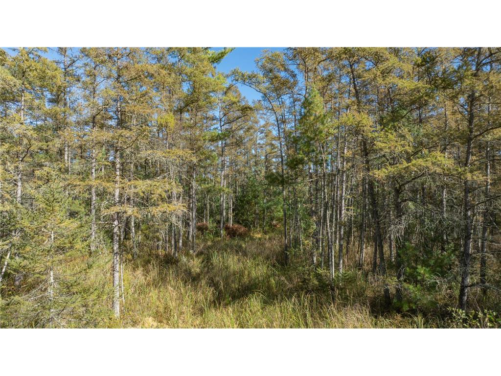 28007 126th Street Sampson Twp WI 54757 - Long Lake 6804793 image30