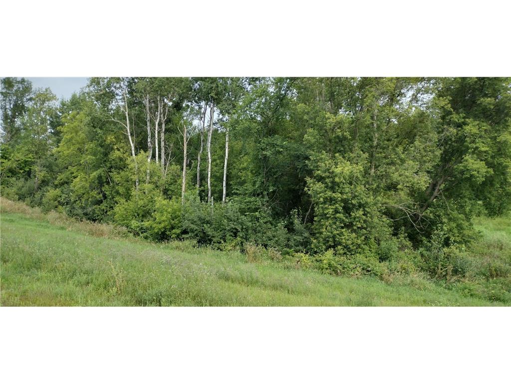 28023 County Highway 1 Maine Twp MN 56586 7082742 image10