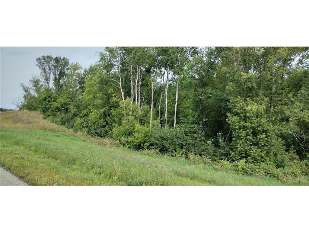 28023 County Highway 1 Maine Twp MN 56586 7082742 image11