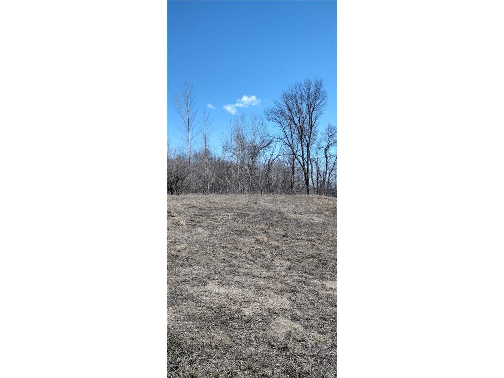 28023 County Highway 1 Maine Twp MN 56586 7082742 image13