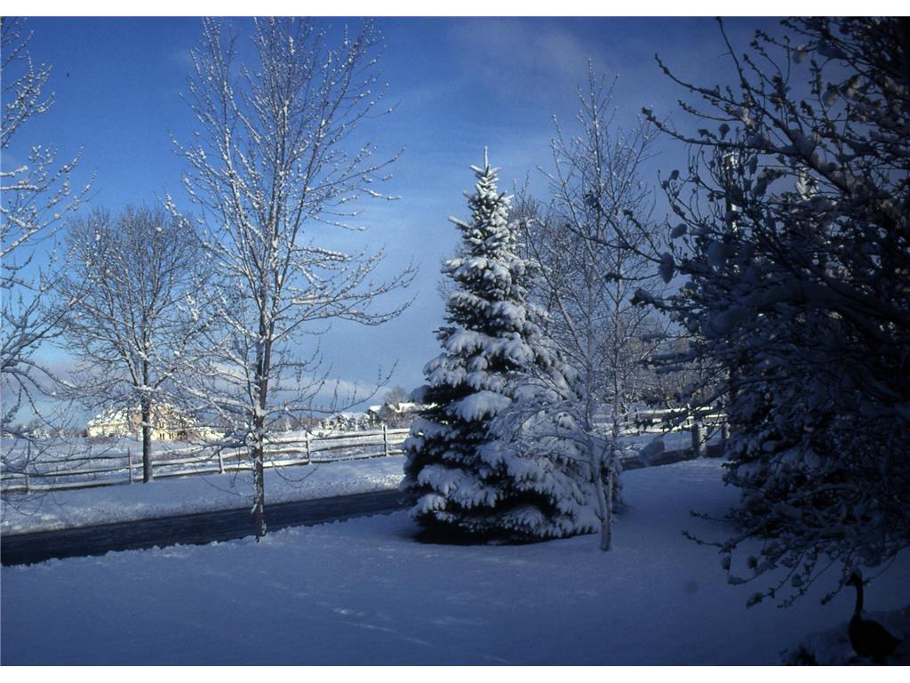 2805 Alvarado Lane N Plymouth MN 55447 7039903 image32