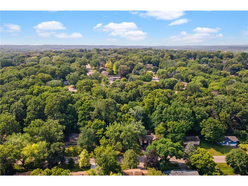2805 Brookview Drive Burnsville MN 55337 7109562 image28