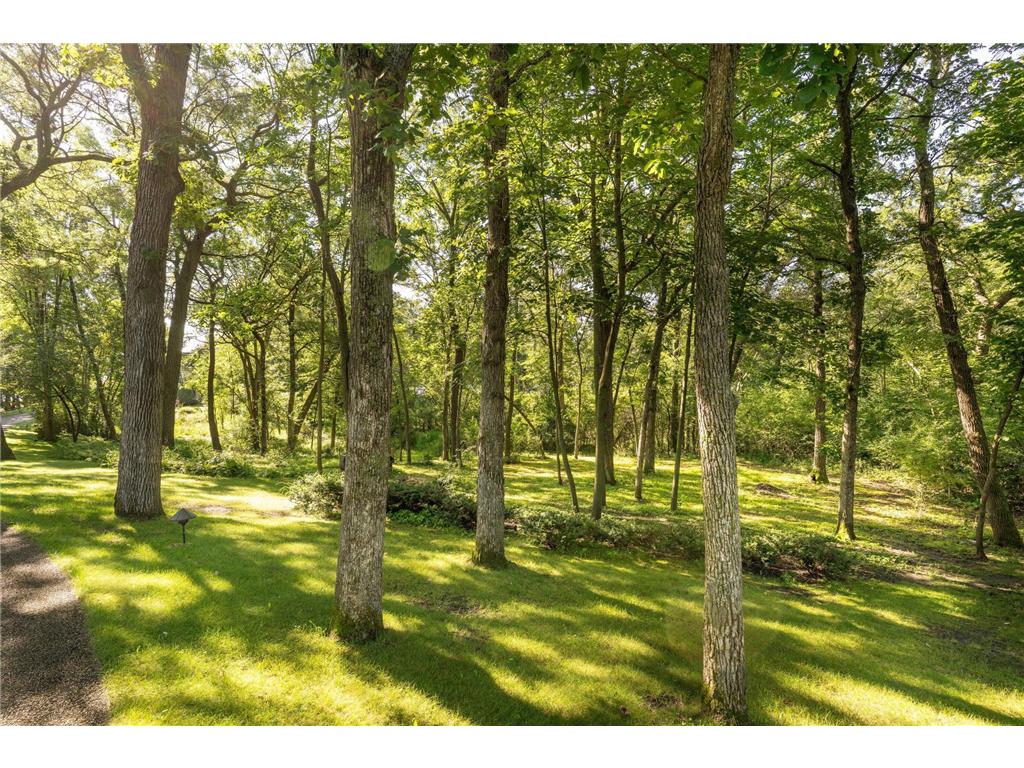 2807 Government Point Road NE Alexandria MN 56308 - Le Homme Dieu 6768925 image4