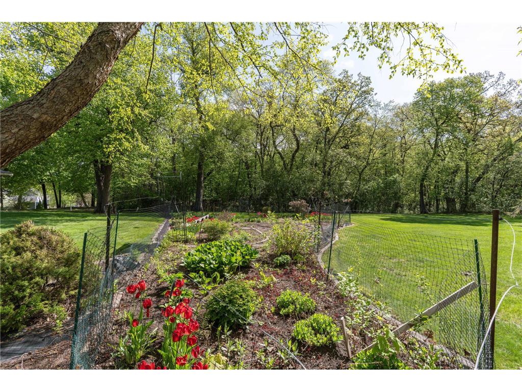 2808 Government Point Road NE Alexandria MN 56308 - Le Homme Dieu 7079927 image6