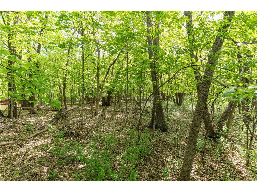 2808 Government Point Road NE Alexandria MN 56308 - Le Homme Dieu 7079927 image66