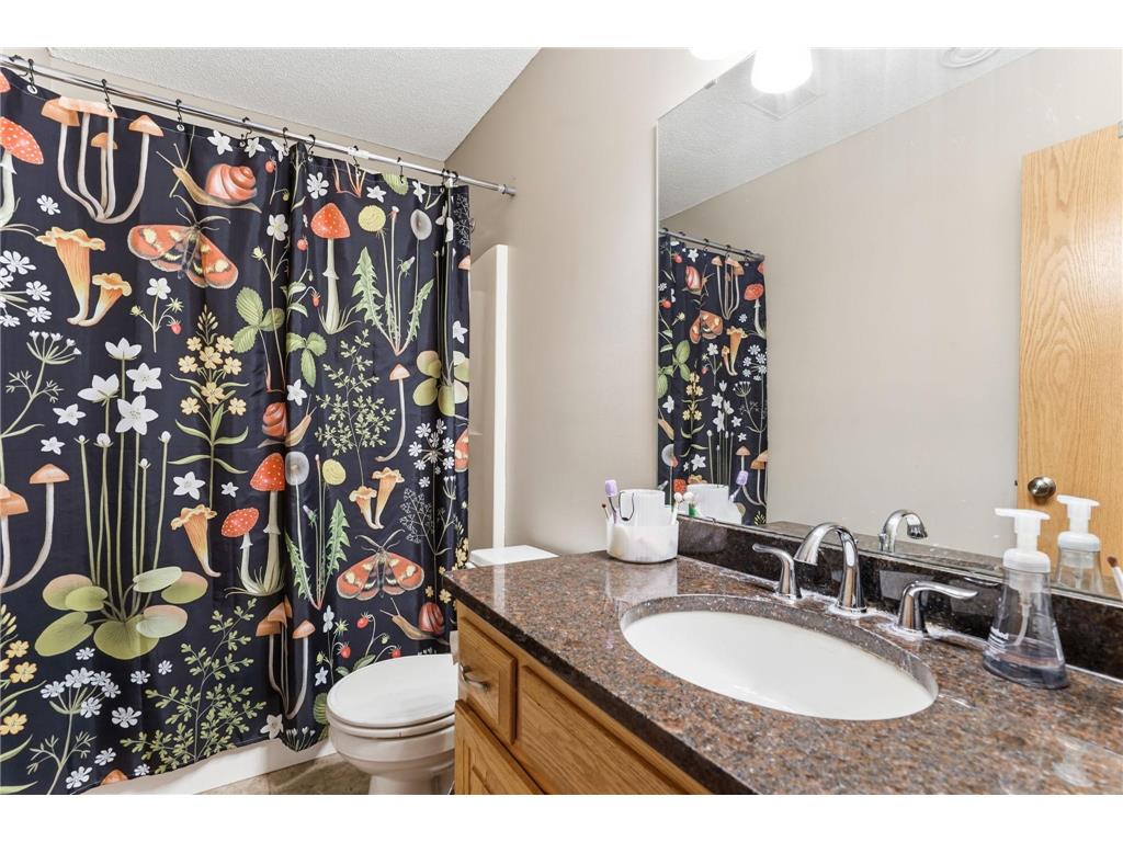 281 139th Lane NW Andover MN 55304 7071709 image31