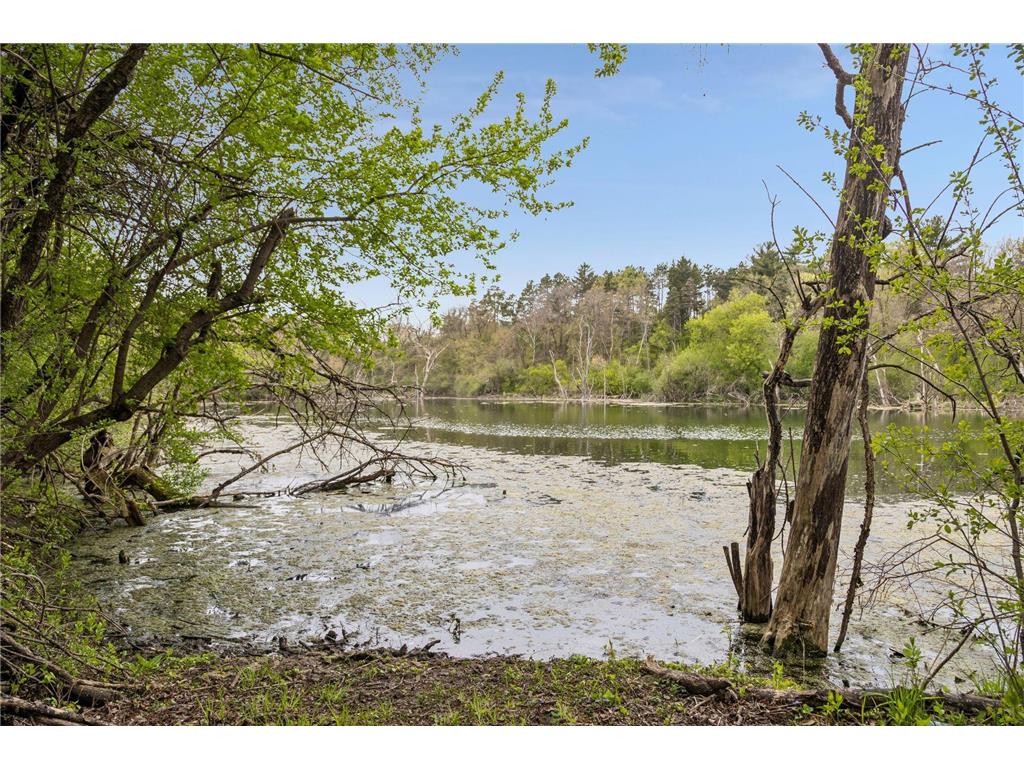 2810 Nybeck Avenue S Afton MN 55001 7033010 image10