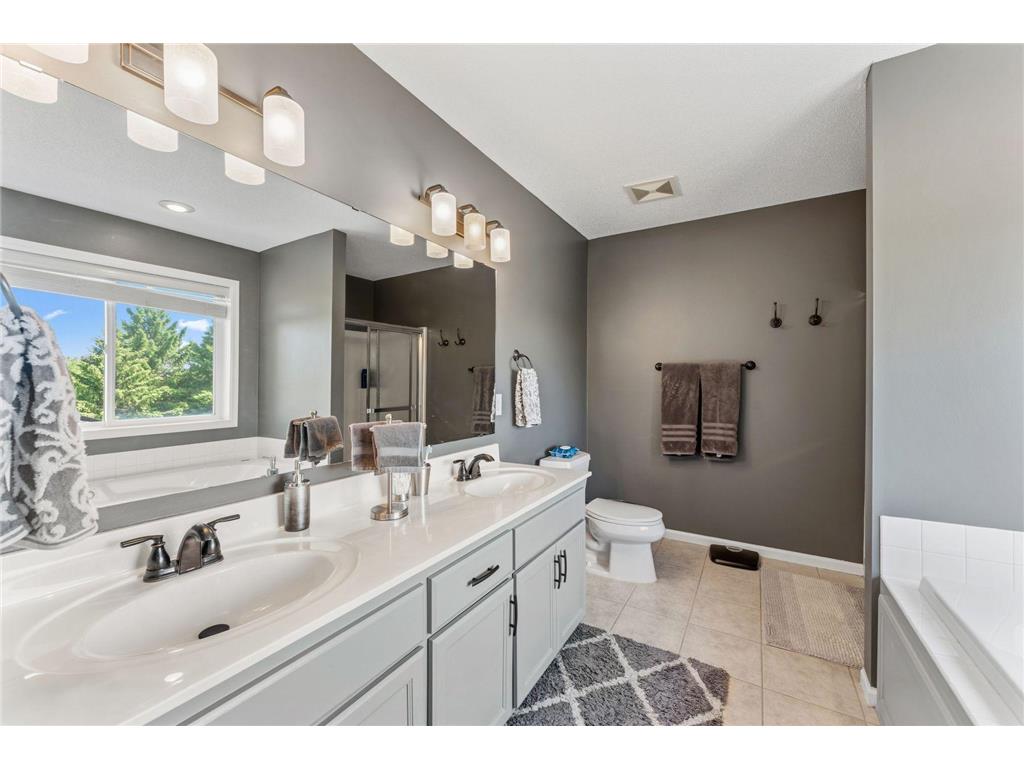 2810 White Eagle Drive Woodbury MN 55129 7076906 image29