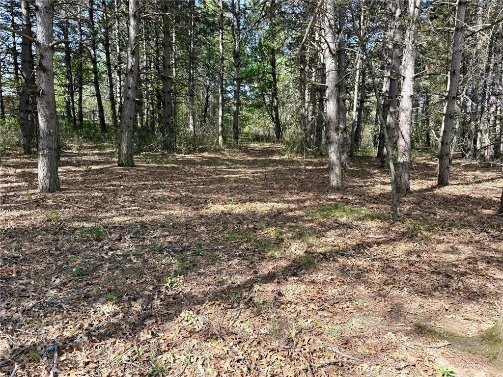 28110 112th Street NW Baldwin Twp MN 55398 7077296 image43