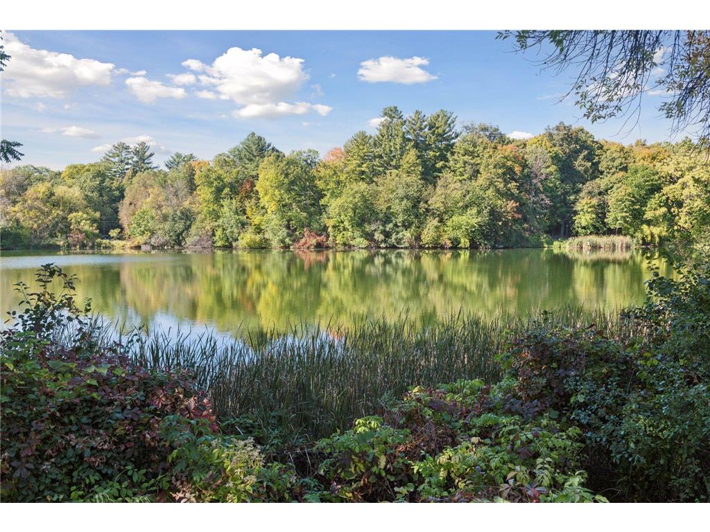 28140 Boulder Bridge Drive Shorewood MN 55331 7010469 image9