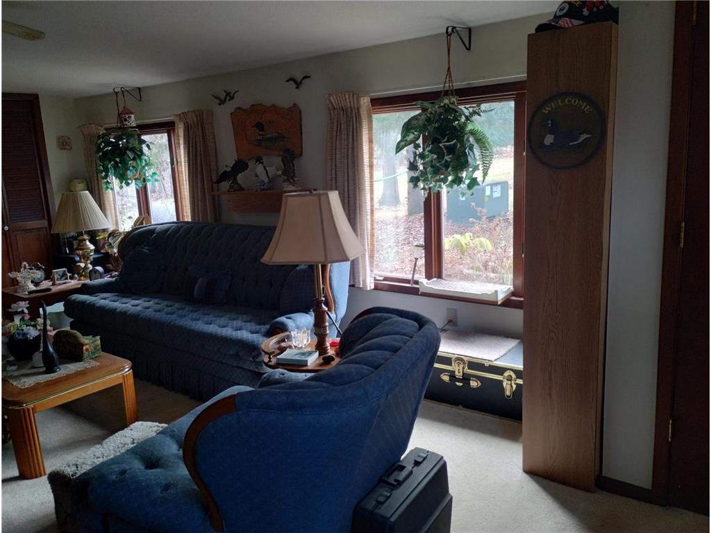 28153 E Hardwood Lane Peace Twp MN 55007 6821161 image10