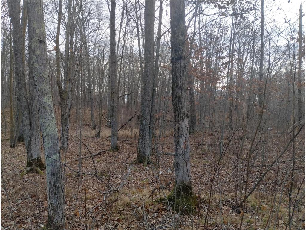 28153 E Hardwood Lane Peace Twp MN 55007 6821161 image40