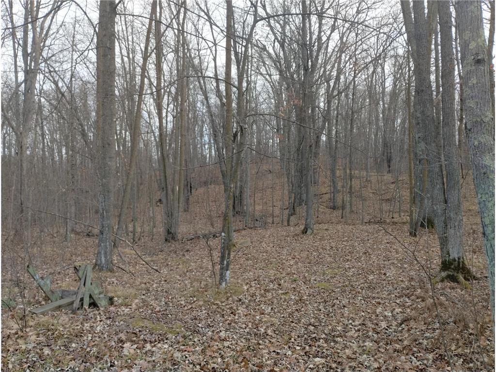 28153 E Hardwood Lane Peace Twp MN 55007 6821161 image42