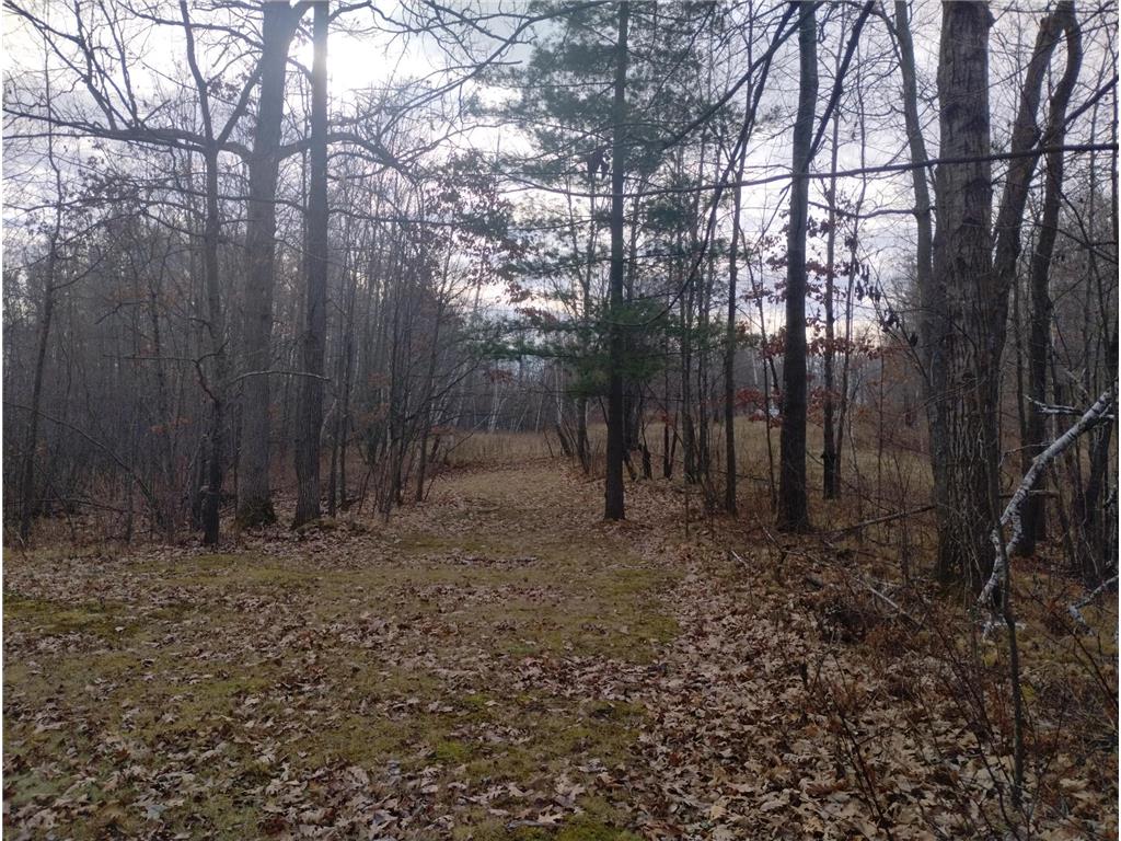 28153 E Hardwood Lane Peace Twp MN 55007 6821161 image43