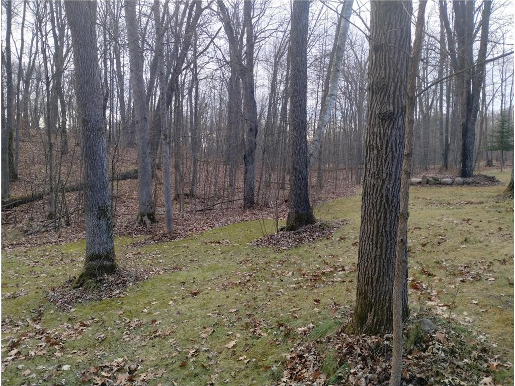 28153 E Hardwood Lane Peace Twp MN 55007 6821161 image49