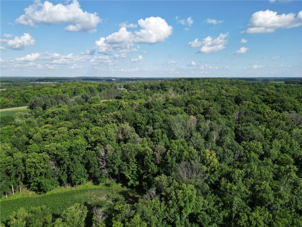 2816 120th Avenue Two Rivers Twp MN 56314 6753115 image1