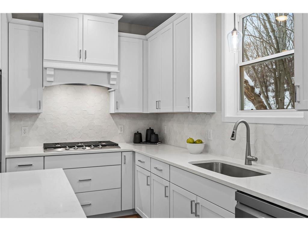 2817 Victoria Street N Roseville MN 55113 - Owasso 6779360 image23