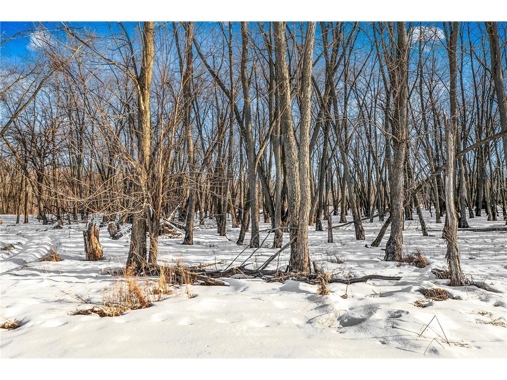 2818 337th Lane NW Cambridge MN 55008 - Rum River 7013438 image30