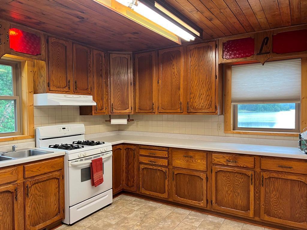 28200 County Road 52 Bigfork MN 56628 - White Swan 7060819 image25