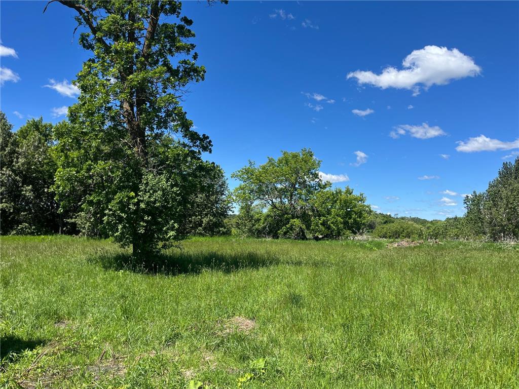 28232 370th Street SE Mcintosh MN 56556 7092938 image51