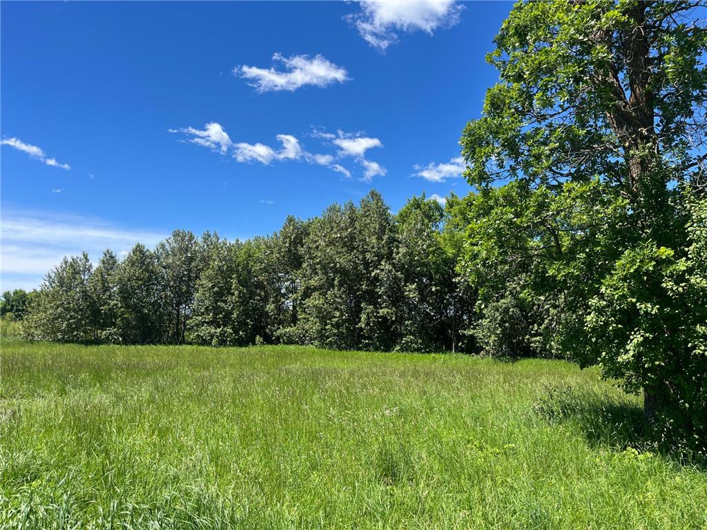 28232 370th Street SE Mcintosh MN 56556 7092938 image52