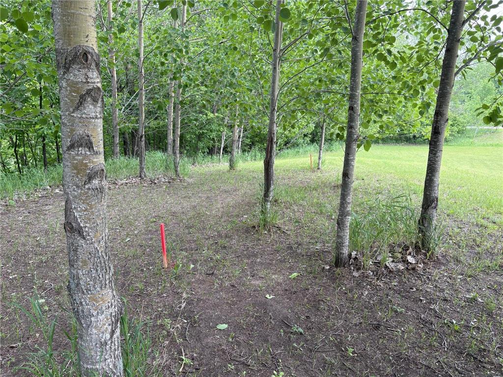 28247 Water Street Trail Underwood MN 56586 - West Lost Lake 6682950 image1