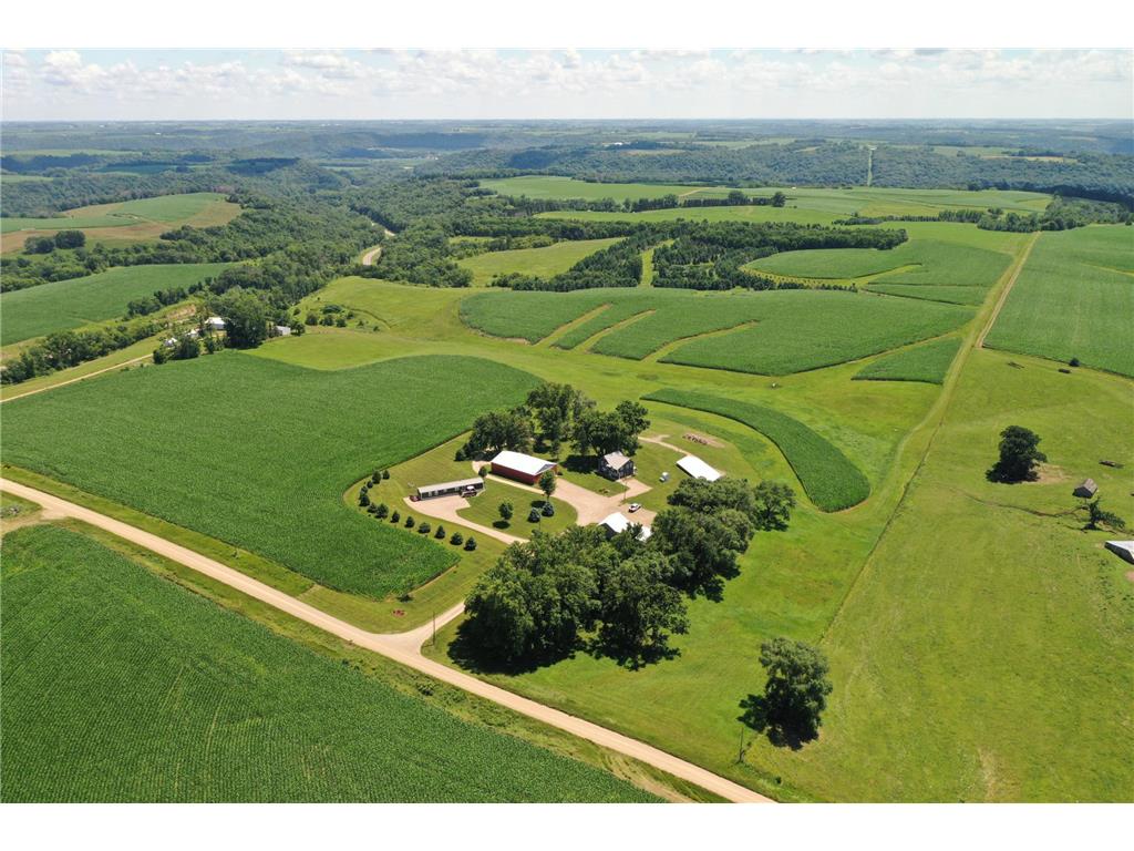 28249 646th Street West Albany Twp MN 55041 7057745 image3
