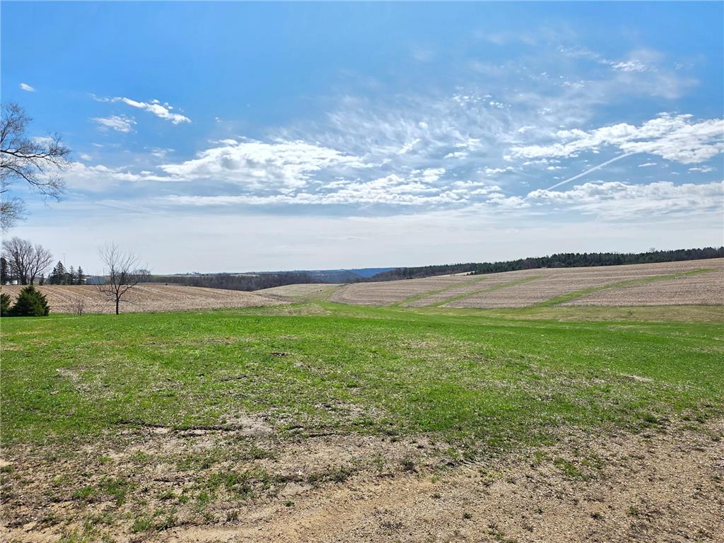 28249 646th Street West Albany Twp MN 55041 7057745 image43