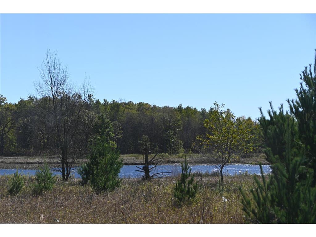 28274 Orb Drive Moran Twp MN 56438 7053422 image16