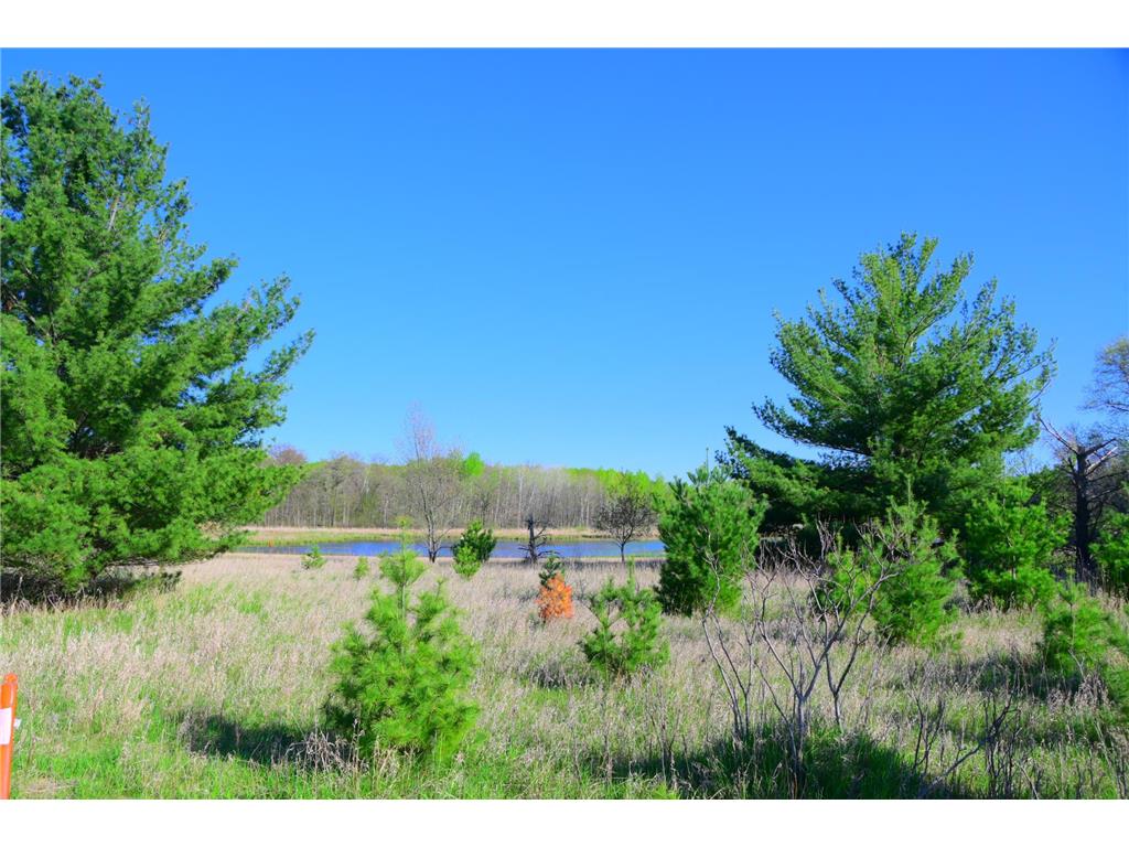 28274 Orb Drive Moran Twp MN 56438 7053422 image17