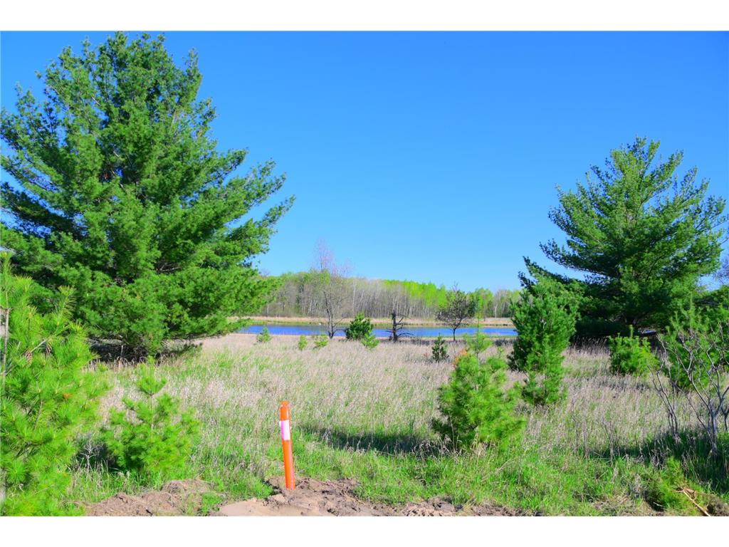 28274 Orb Drive Moran Twp MN 56438 7053422 image18