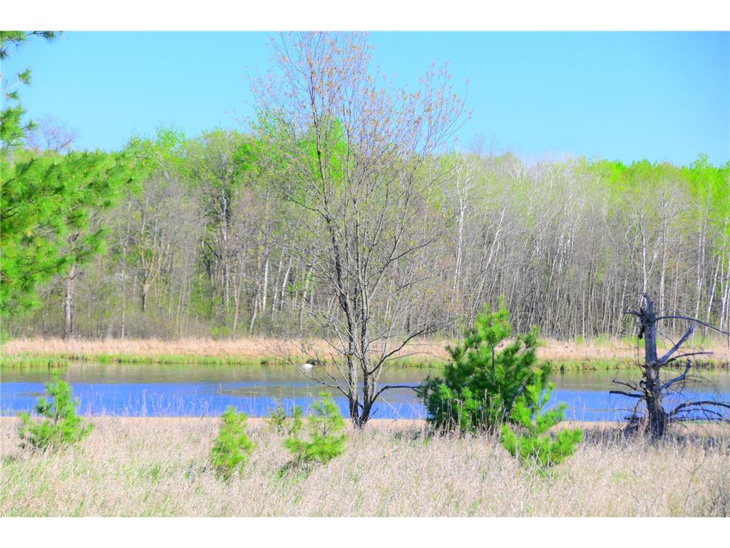 28274 Orb Drive Moran Twp MN 56438 7053422 image19