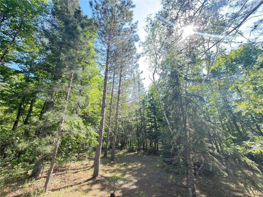 28288 Junco Drive Nevis MN 56467 - Mantrap 7091937 image18
