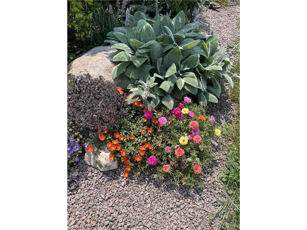 28297 Saint Croix Road Pine City MN 55063 7023723 image52