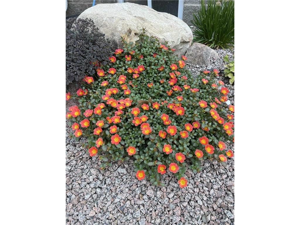 28297 Saint Croix Road Pine City MN 55063 7023723 image53