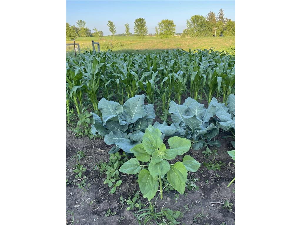 28297 Saint Croix Road Pine City MN 55063 7023723 image62