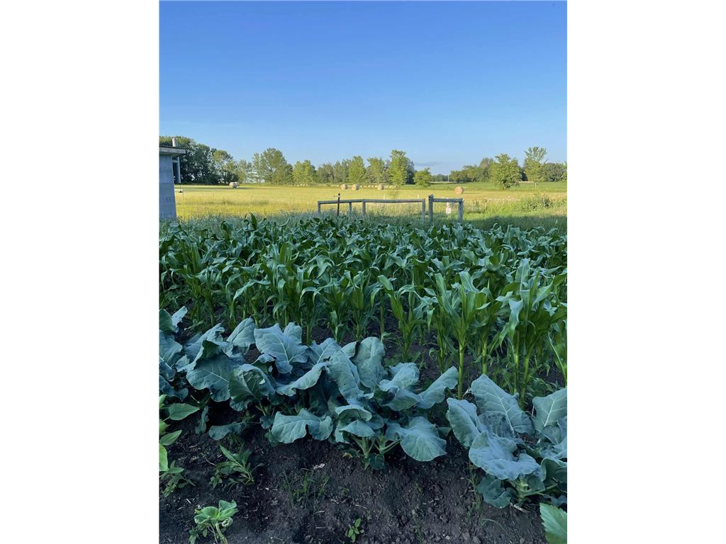 28297 Saint Croix Road Pine City MN 55063 7023723 image63