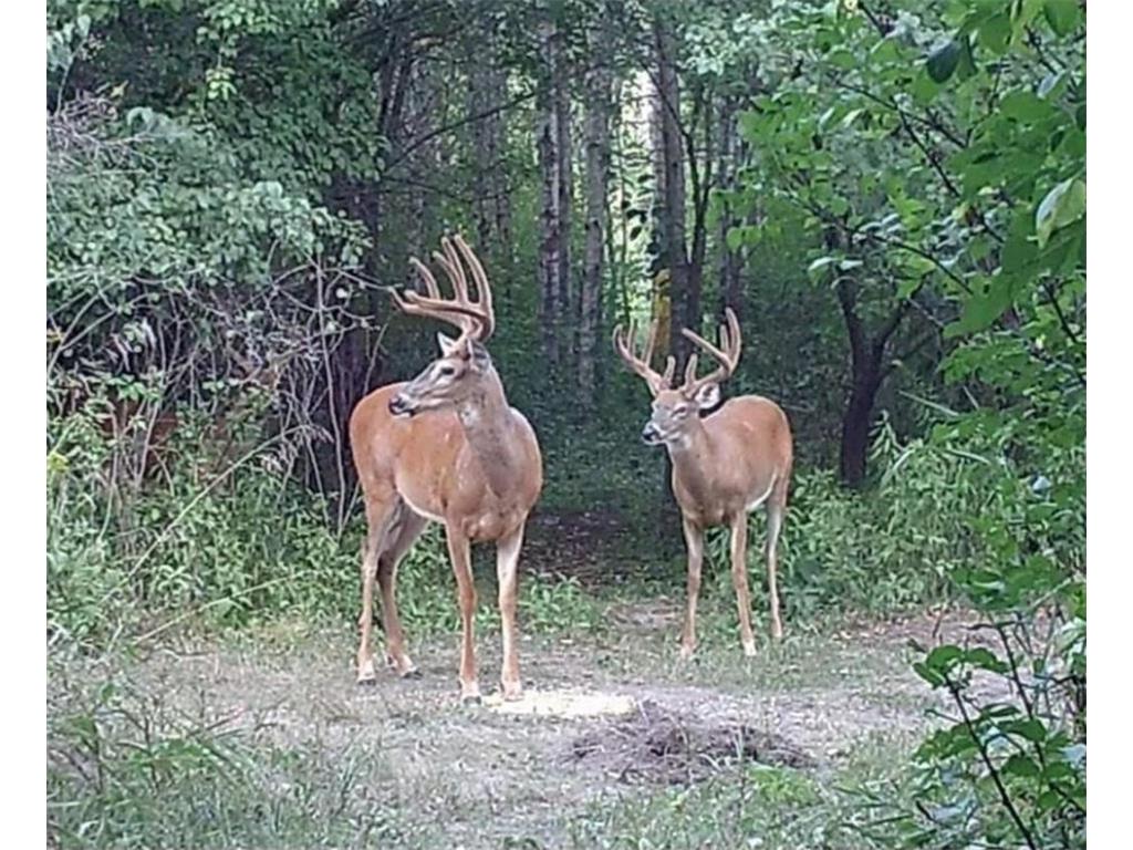 2830 185th Avenue NE Foley MN 56329 6763964 image1