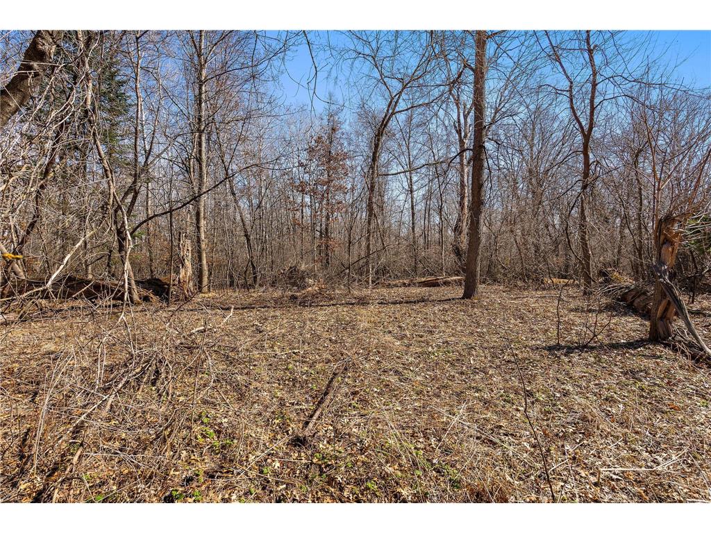 28319 97 1/2 Street NW Zimmerman MN 55398 7046990 image6