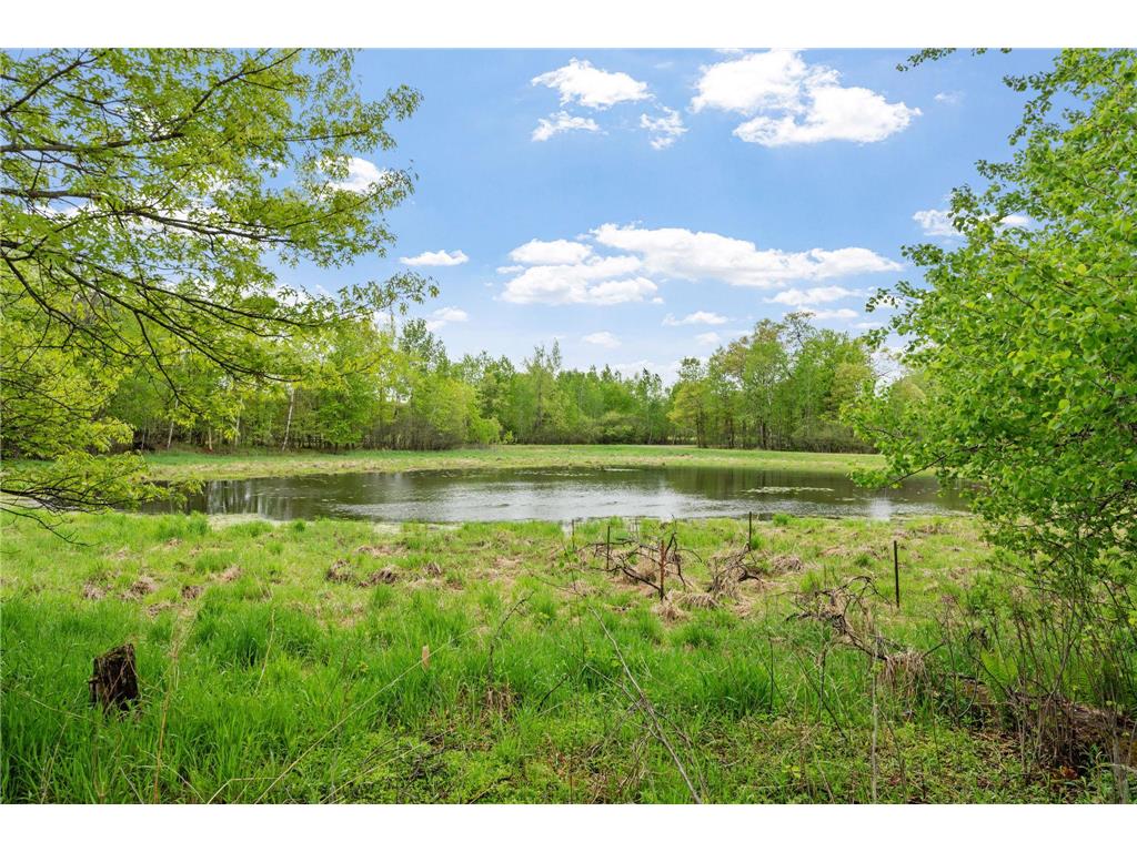 28329 99th Street NW Baldwin Twp MN 55398 7082106 image4