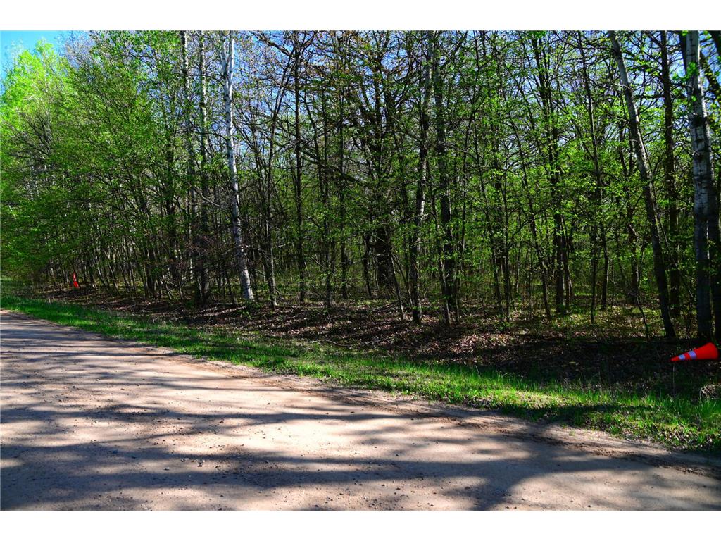 28329 orchard Drive Moran Twp MN 56438 7034499 image1