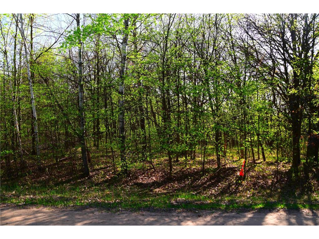 28329 orchard Drive Moran Twp MN 56438 7034499 image10
