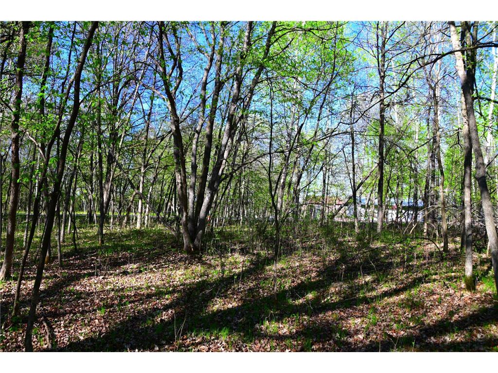 28329 orchard Drive Moran Twp MN 56438 7034499 image13