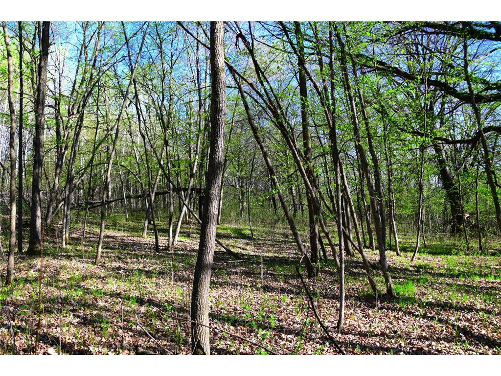 28329 orchard Drive Moran Twp MN 56438 7034499 image14
