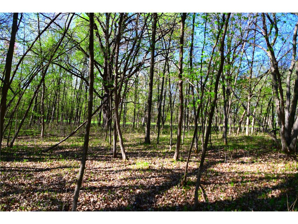 28329 orchard Drive Moran Twp MN 56438 7034499 image15