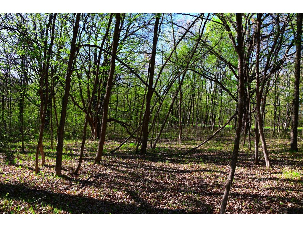 28329 orchard Drive Moran Twp MN 56438 7034499 image16